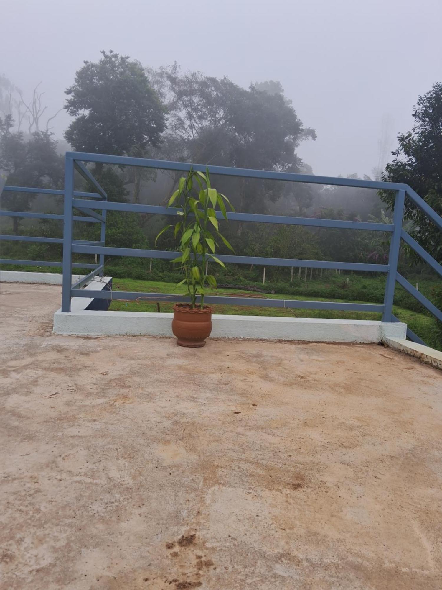 מדיקרי Coorg Teakwood Treasure Homestay מראה חיצוני תמונה