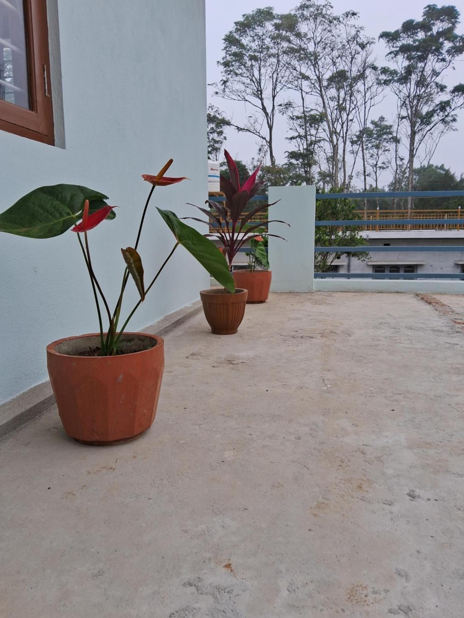 מדיקרי Coorg Teakwood Treasure Homestay מראה חיצוני תמונה